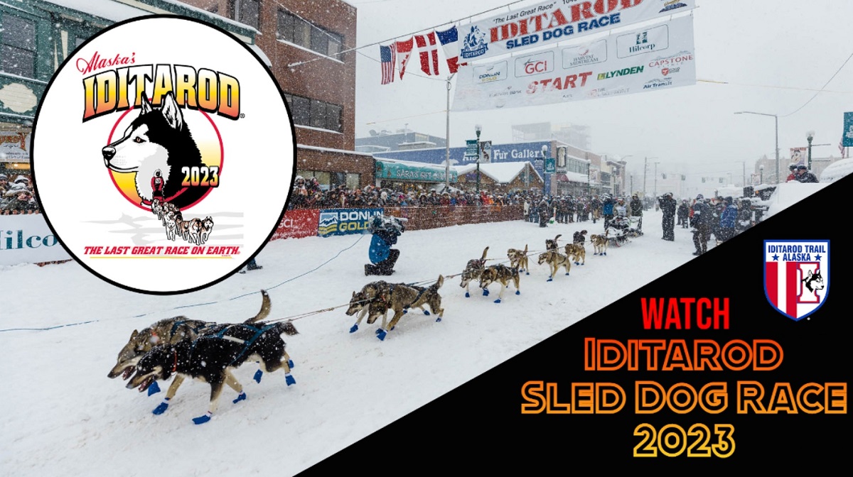 Watch!! Iditarod Sled Dog Race 2023 Live Stream
